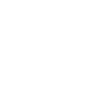 από Αστυνομικό